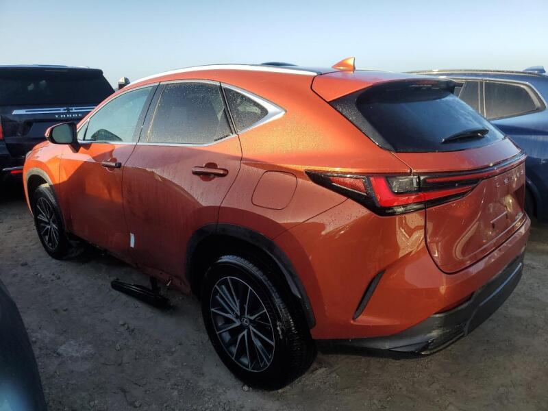 2023 LEXUS NX 250 - 2T2ADCAZ0PC004102 | SeoVin.biz
