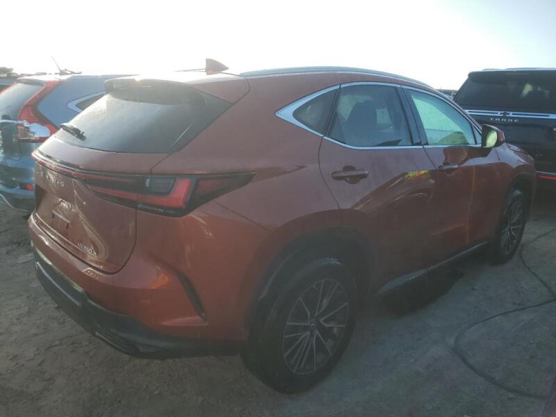 2023 LEXUS NX 250 - 2T2ADCAZ0PC004102 | SeoVin.biz
