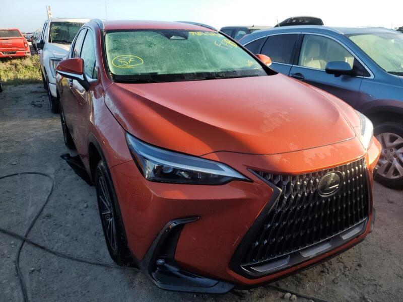 2023 LEXUS NX 250 - 2T2ADCAZ0PC004102 | SeoVin.biz