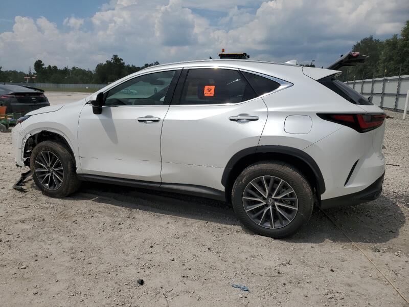 2024 LEXUS NX 250 PREMIUM - 2T2GDCAZ0RC012021 | SeoVin.biz