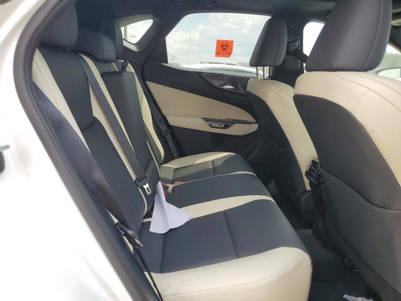 2024 LEXUS NX 250 PREMIUM - 2T2GDCAZ0RC012021 | SeoVin.biz