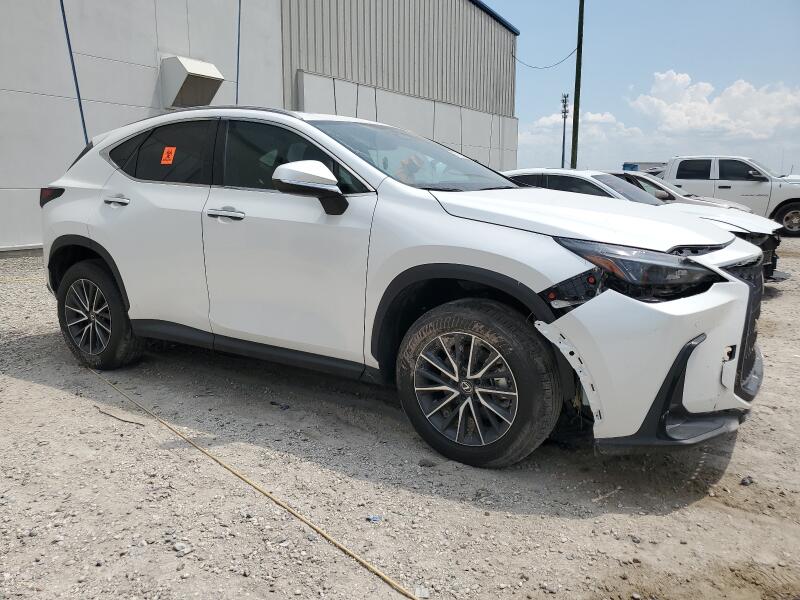 2024 LEXUS NX 250 PREMIUM - 2T2GDCAZ0RC012021 | SeoVin.biz