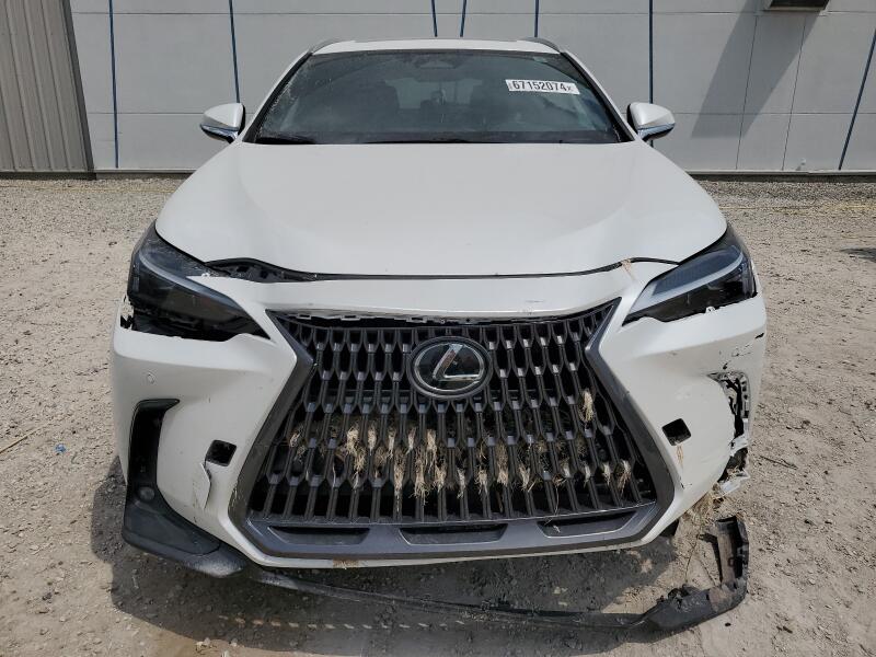 2024 LEXUS NX 250 PREMIUM - 2T2GDCAZ0RC012021 | SeoVin.biz