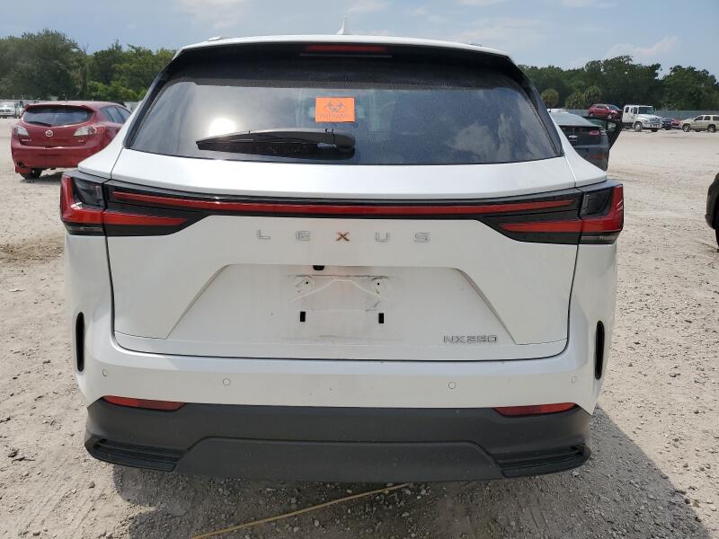 2024 LEXUS NX 250 PREMIUM - 2T2GDCAZ0RC012021 | SeoVin.biz