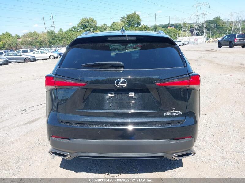 2020 LEXUS NX 300 - JTJDARDZ9L5010896 | SeoVin.biz