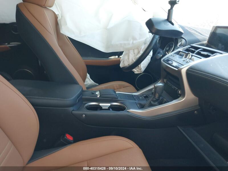 2020 LEXUS NX 300 - JTJDARDZ9L5010896 | SeoVin.biz