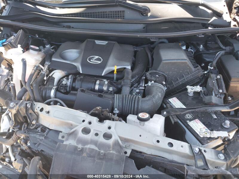 2020 LEXUS NX 300 - JTJDARDZ9L5010896 | SeoVin.biz