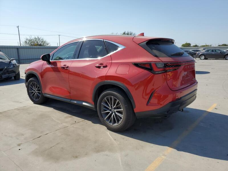 2022 LEXUS NX 250 - 2T2ADCAZ4NC001670 | SeoVin.biz