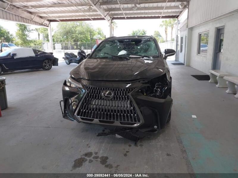 2024 LEXUS NX 250 - 2T2ADCAZ5RC012067 | SeoVin.biz