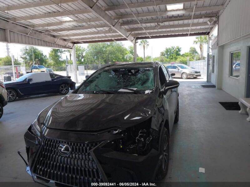 2024 LEXUS NX 250 - 2T2ADCAZ5RC012067 | SeoVin.biz