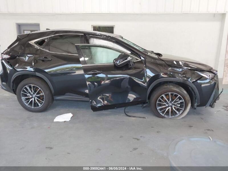 2024 LEXUS NX 250 - 2T2ADCAZ5RC012067 | SeoVin.biz