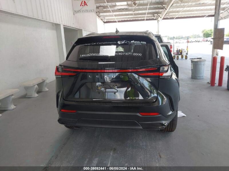 2024 LEXUS NX 250 - 2T2ADCAZ5RC012067 | SeoVin.biz