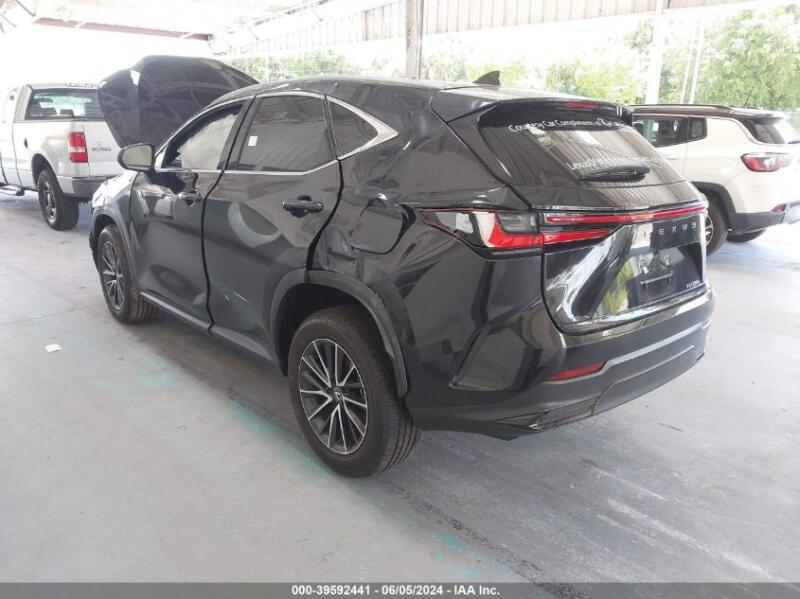 2024 LEXUS NX 250 - 2T2ADCAZ5RC012067 | SeoVin.biz