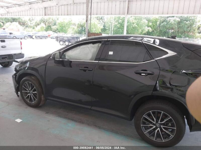 2024 LEXUS NX 250 - 2T2ADCAZ5RC012067 | SeoVin.biz