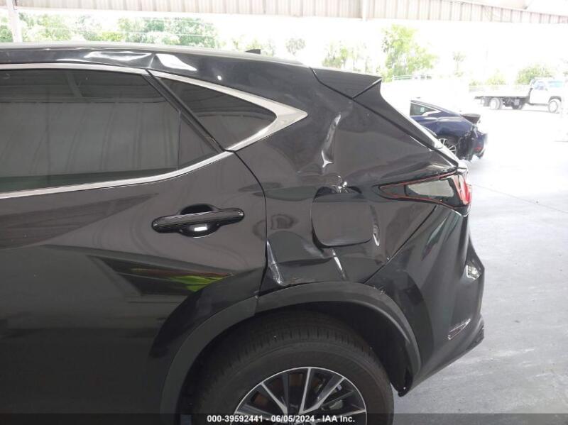 2024 LEXUS NX 250 - 2T2ADCAZ5RC012067 | SeoVin.biz