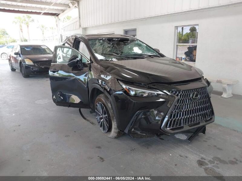 2024 LEXUS NX 250 - 2T2ADCAZ5RC012067 | SeoVin.biz