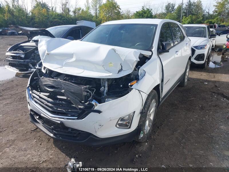 2018 CHEVROLET EQUINOX LS - 2GNAXHEV0J6143890 | SeoVin.biz