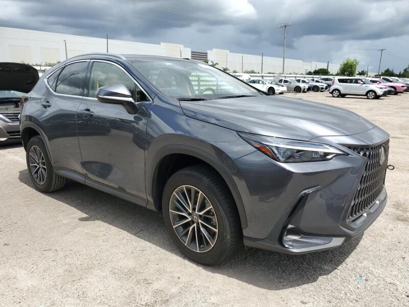 2023 LEXUS NX 250 - JTJADCAZ7P5012874 | SeoVin.biz