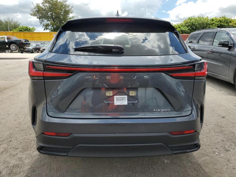 2023 LEXUS NX 250 - JTJADCAZ7P5012874 | SeoVin.biz