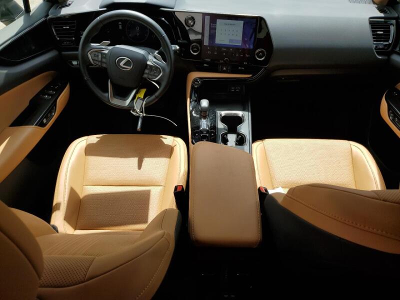2023 LEXUS NX 250 - JTJADCAZ7P5012874 | SeoVin.biz