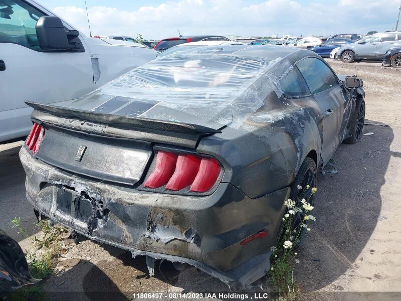 2018 FORD MUSTANG SHELBY - 1FA6P8JZ8J5500922 | SeoVin.biz