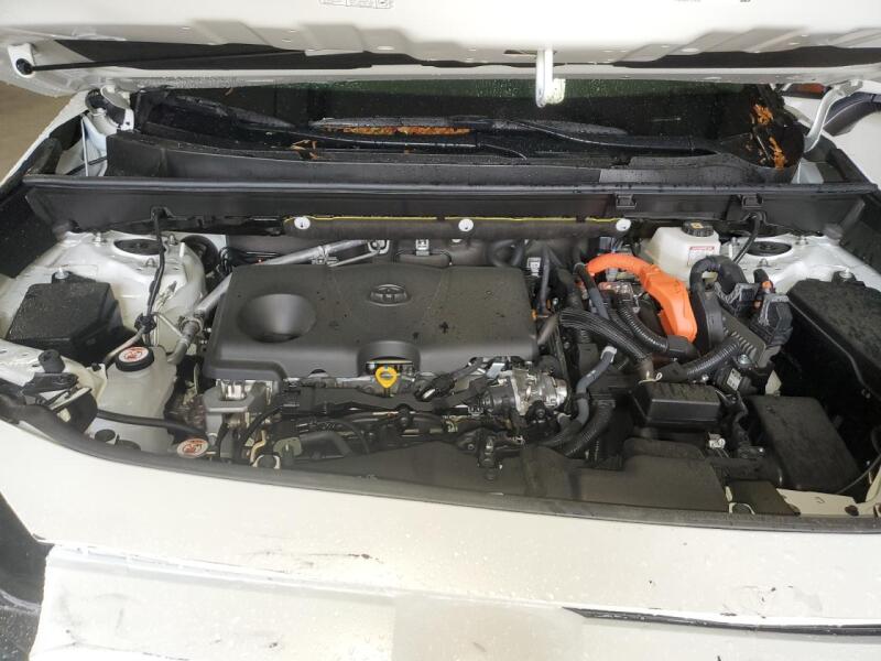 2023 TOYOTA RAV4 XLE PREMIUM - JTMB6RFV9PD086118 | SeoVin.biz