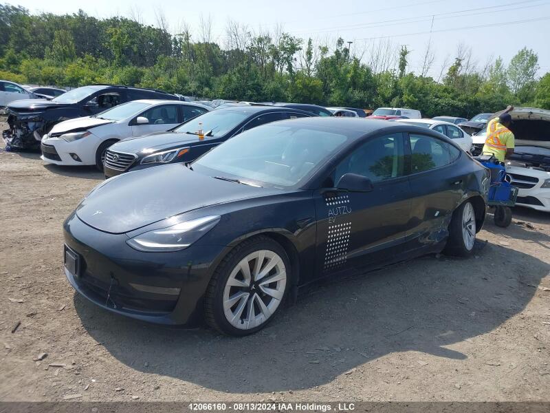 2022 TESLA MODEL 3 - 5YJ3E1EB9NF235312 | SeoVin.biz