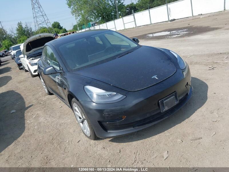 2022 TESLA MODEL 3 - 5YJ3E1EB9NF235312 | SeoVin.biz