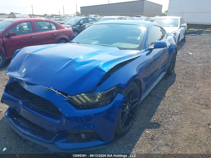 2017 FORD MUSTANG V6 - 1FA6P8AM3H5211428 | SeoVin.biz