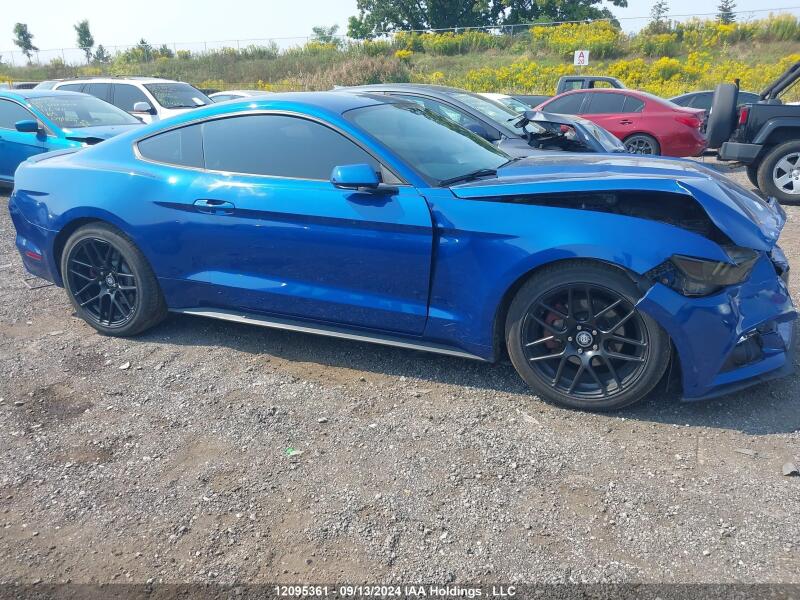 2017 FORD MUSTANG V6 - 1FA6P8AM3H5211428 | SeoVin.biz