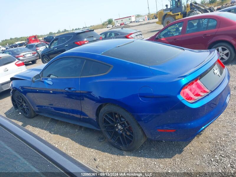 2017 FORD MUSTANG V6 - 1FA6P8AM3H5211428 | SeoVin.biz