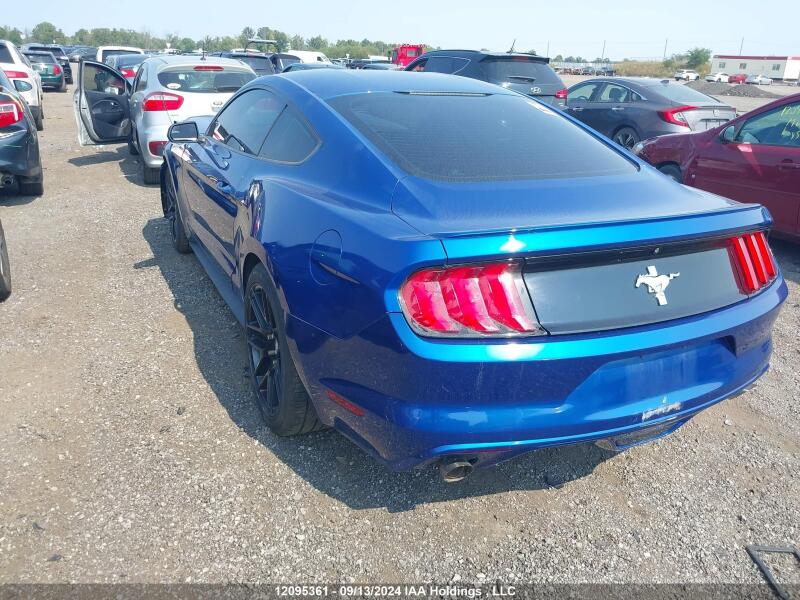 2017 FORD MUSTANG V6 - 1FA6P8AM3H5211428 | SeoVin.biz