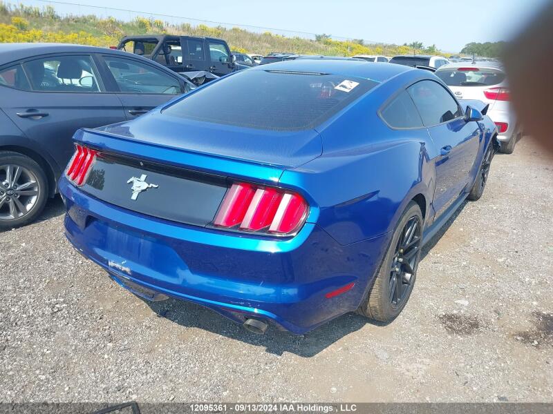 2017 FORD MUSTANG V6 - 1FA6P8AM3H5211428 | SeoVin.biz