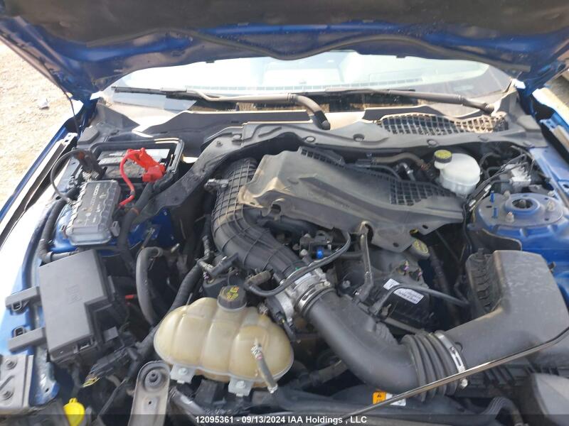 2017 FORD MUSTANG V6 - 1FA6P8AM3H5211428 | SeoVin.biz