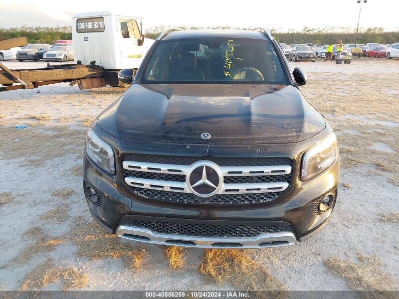 2020 MERCEDES-BENZ GLB 250 4MATIC - W1N4M4HB4LW025349 | SeoVin.biz