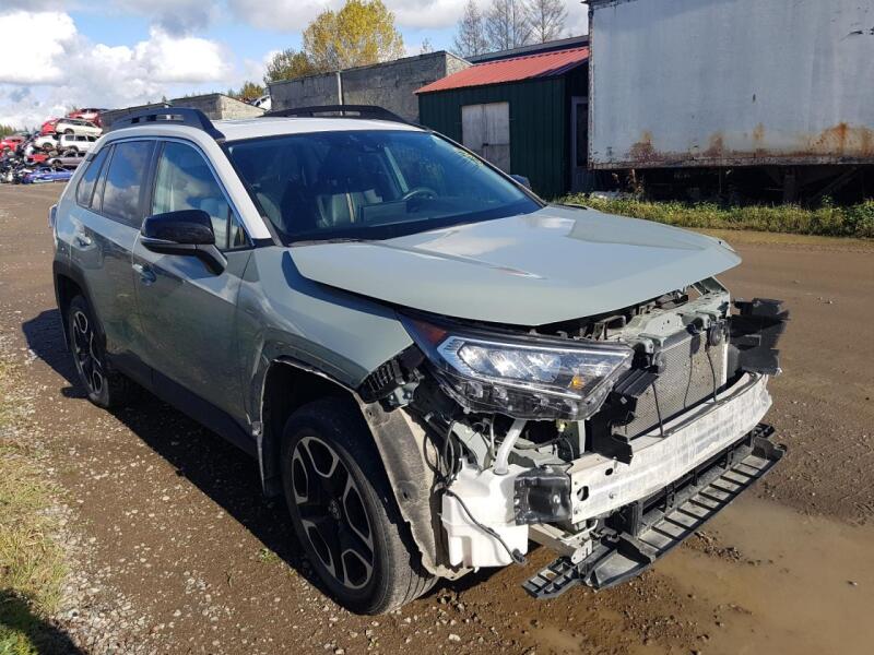 2021 TOYOTA RAV4 ADVENTURE - 2T3J1RFV4MW202298 | SeoVin.biz