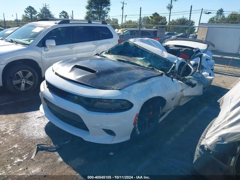 2019 DODGE CHARGER SCAT PACK RWD - 2C3CDXGJXKH570065 | SeoVin.biz