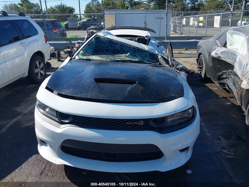 2019 DODGE CHARGER SCAT PACK RWD - 2C3CDXGJXKH570065 | SeoVin.biz