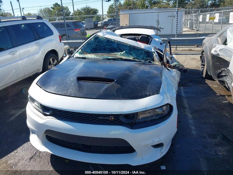 2019 DODGE CHARGER SCAT PACK RWD - 2C3CDXGJXKH570065 | SeoVin.biz