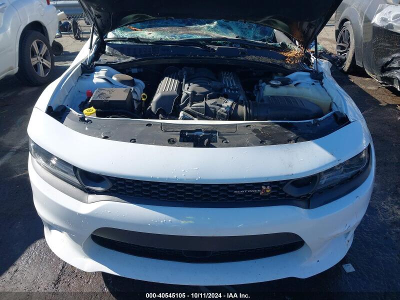 2019 DODGE CHARGER SCAT PACK RWD - 2C3CDXGJXKH570065 | SeoVin.biz