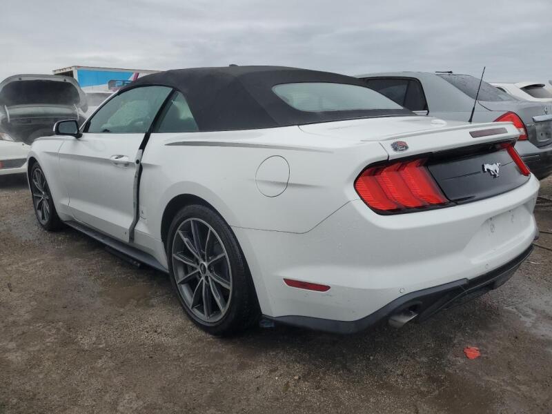 2019 FORD MUSTANG - 1FATP8UH0K5178736 | SeoVin.biz