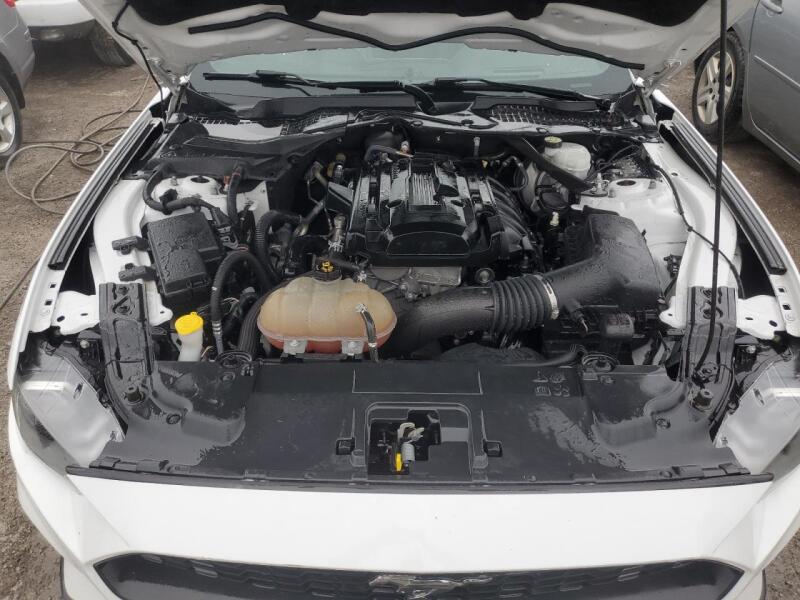 2019 FORD MUSTANG - 1FATP8UH0K5178736 | SeoVin.biz