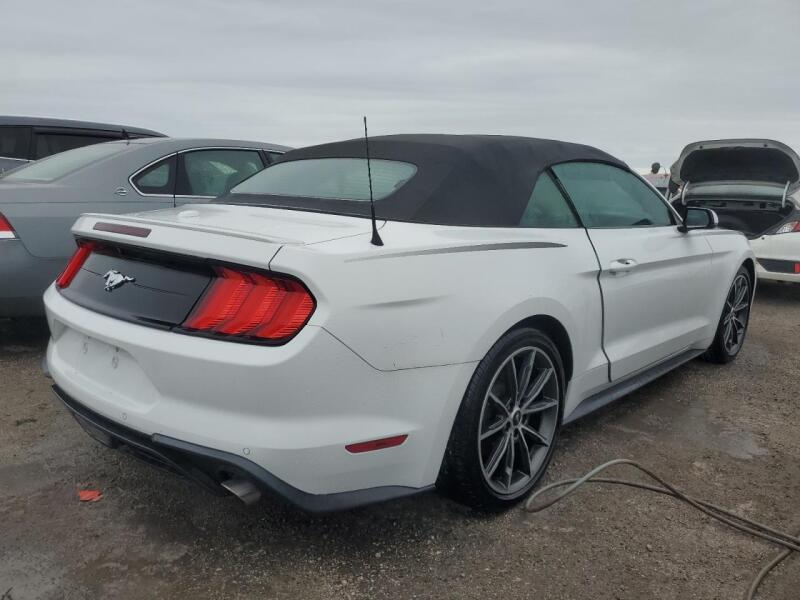 2019 FORD MUSTANG - 1FATP8UH0K5178736 | SeoVin.biz