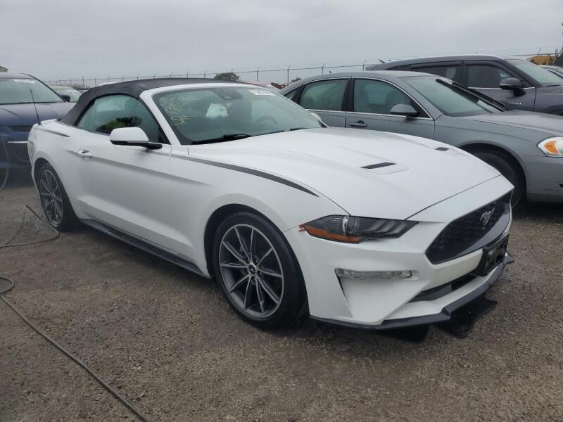2019 FORD MUSTANG - 1FATP8UH0K5178736 | SeoVin.biz