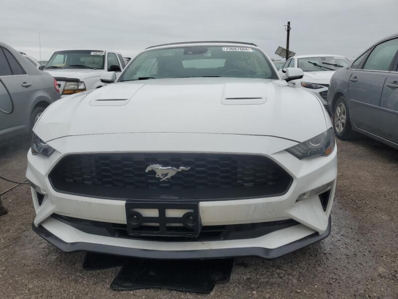 2019 FORD MUSTANG - 1FATP8UH0K5178736 | SeoVin.biz