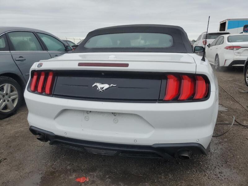 2019 FORD MUSTANG - 1FATP8UH0K5178736 | SeoVin.biz