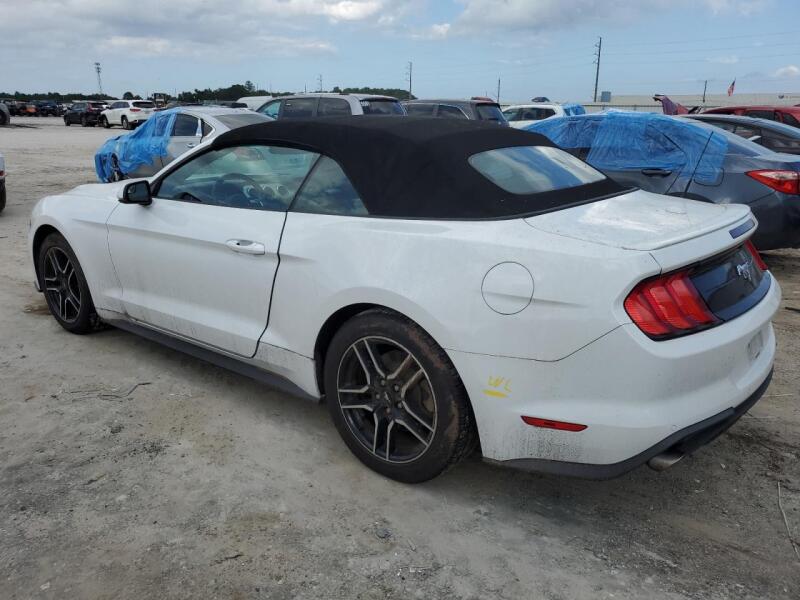 2019 FORD MUSTANG - 1FATP8UH5K5170454 | SeoVin.biz