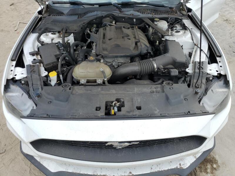 2019 FORD MUSTANG - 1FATP8UH5K5170454 | SeoVin.biz