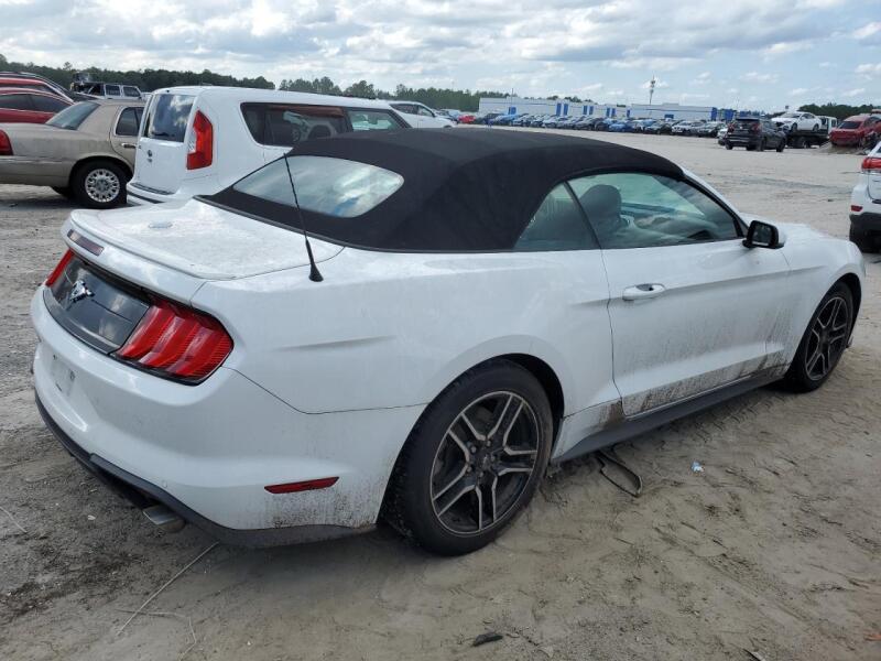 2019 FORD MUSTANG - 1FATP8UH5K5170454 | SeoVin.biz