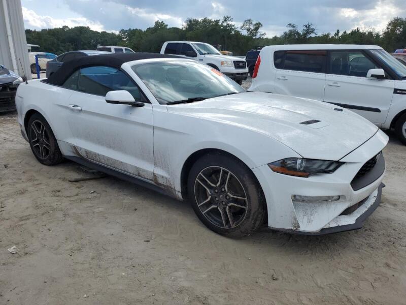 2019 FORD MUSTANG - 1FATP8UH5K5170454 | SeoVin.biz